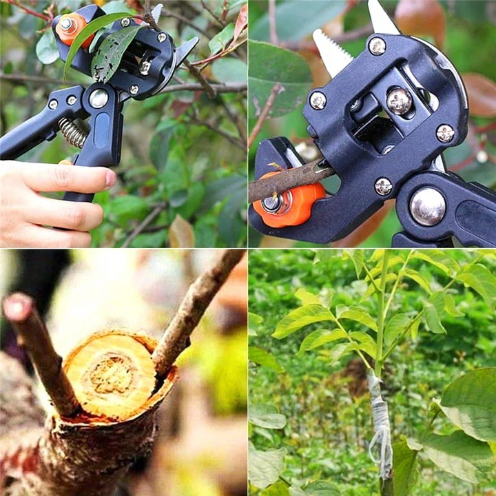 Vrúbľovacie nožnice na vinič, stromy a kríky